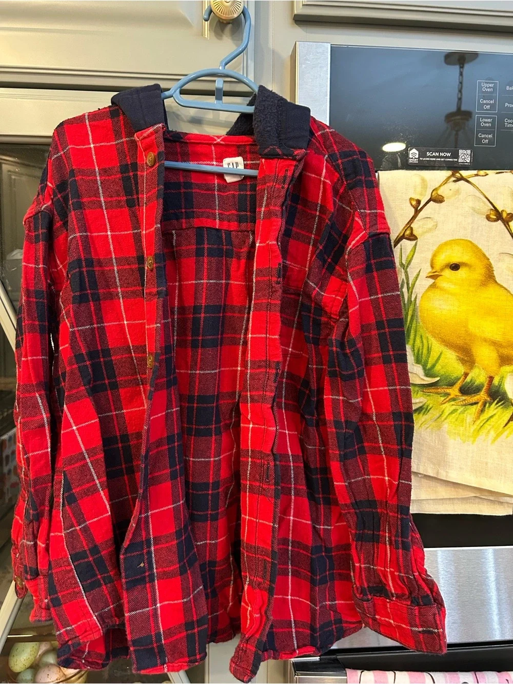GAP Boys Flannel Hooded Button Up Shirts Size 10